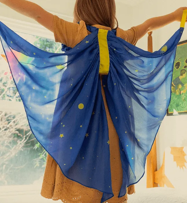 Silk Wings - Starry Night